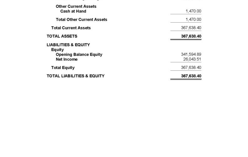 Balance sheet for Guru Nanak Sikh Temple.
