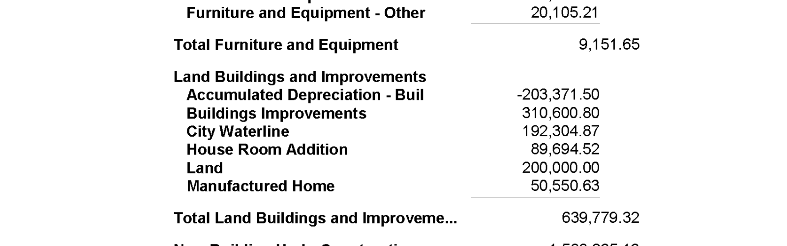 Balance sheet for Guru Nanak Sikh Temple.
