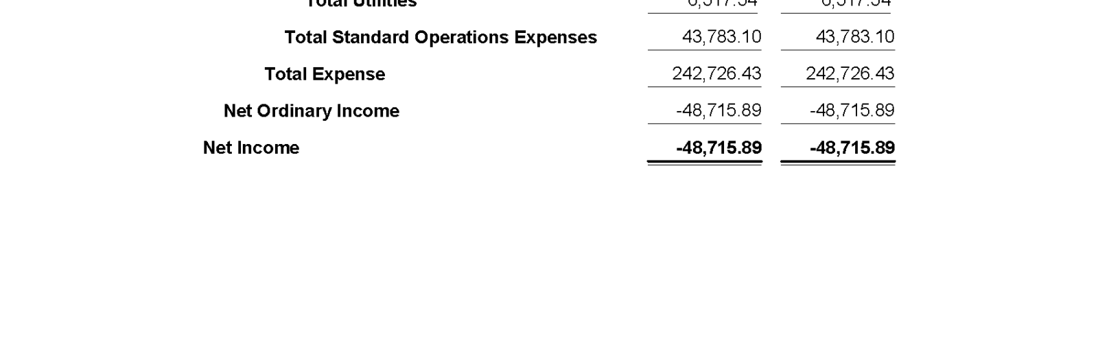 Financial summary showing expenses and net income for a period.
